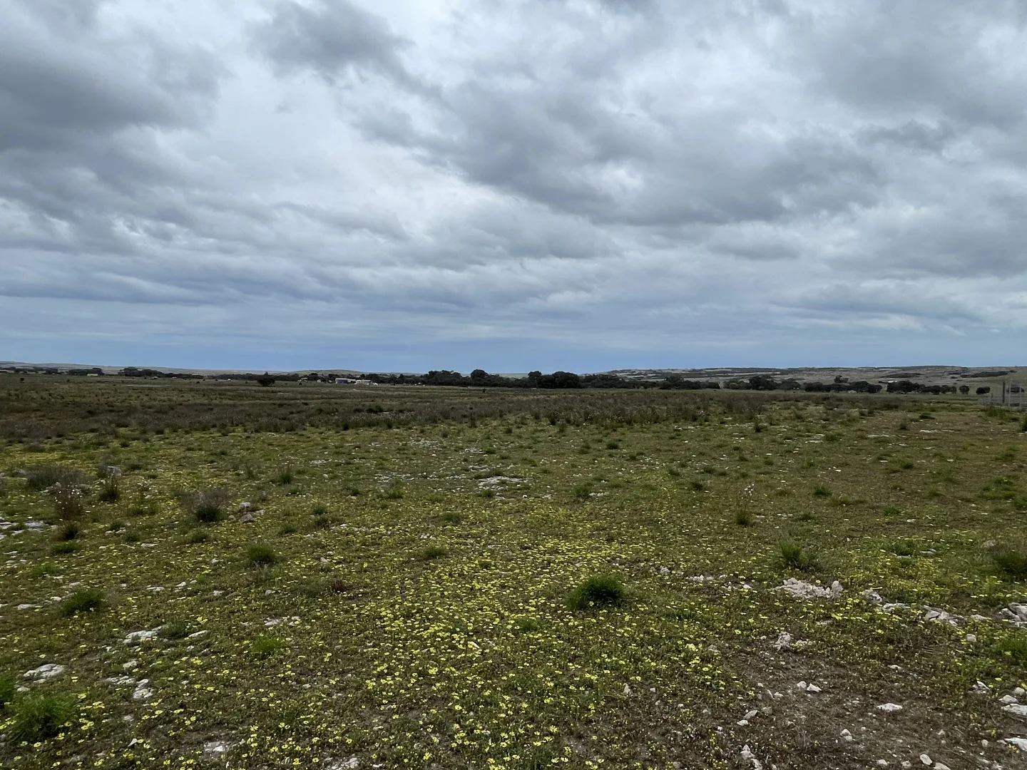 Additional image 16 of 1 Section 217, 217 & 219, Bramfield SA 5670