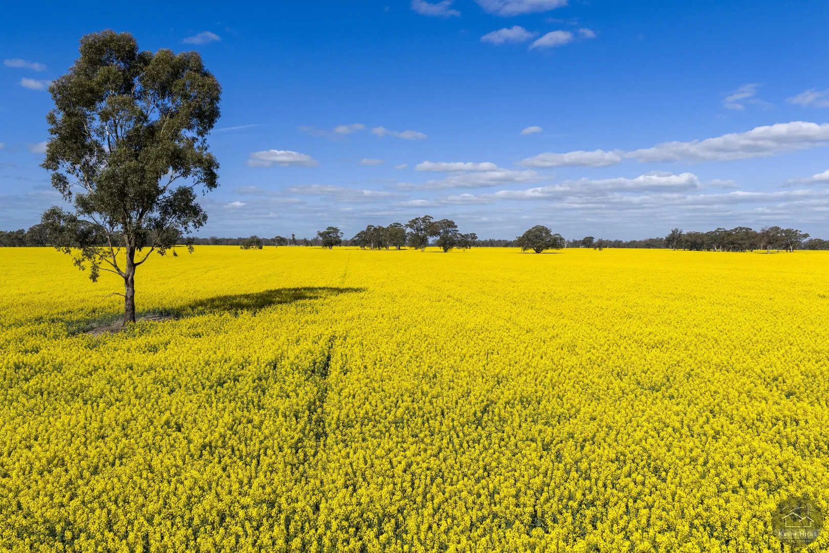 Additional image 4 of 445 Kellys Road, Numurkah VIC 3636