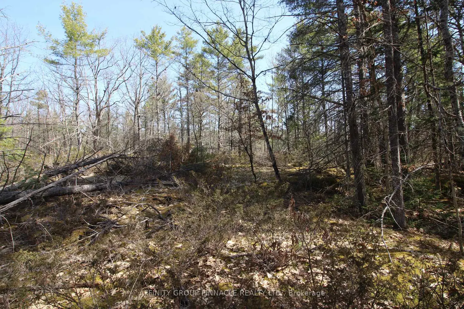 Additional image 2 of Lot 15 Concession 9