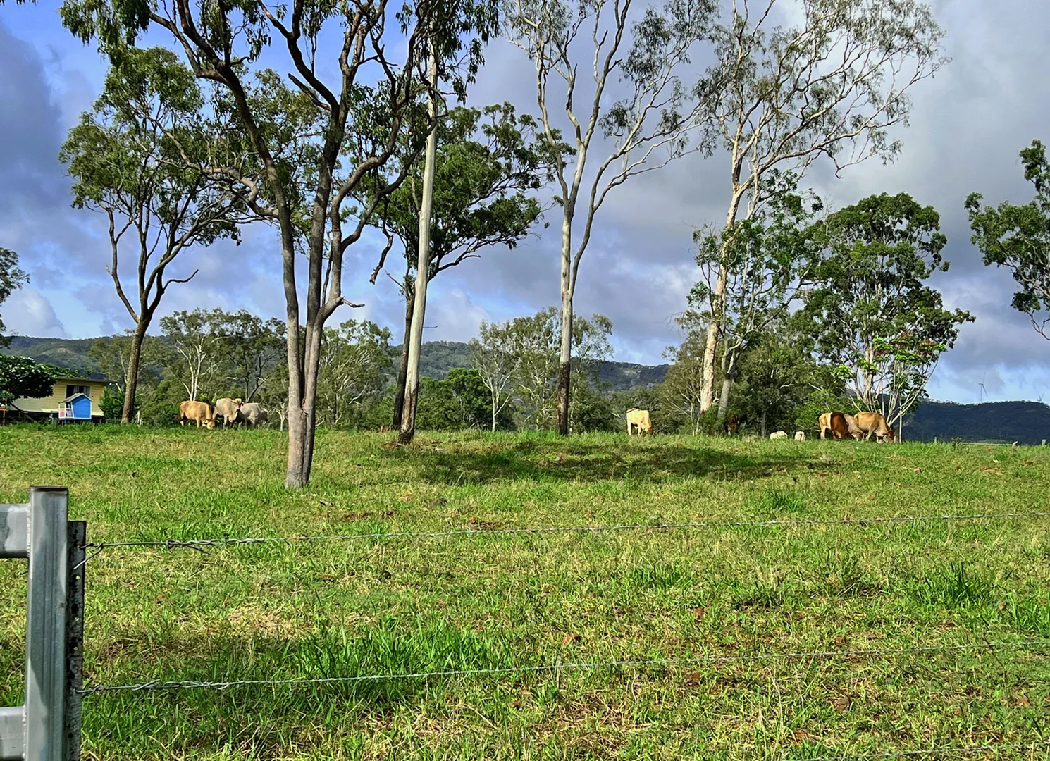 Additional image 11 of Walkamin QLD 4872