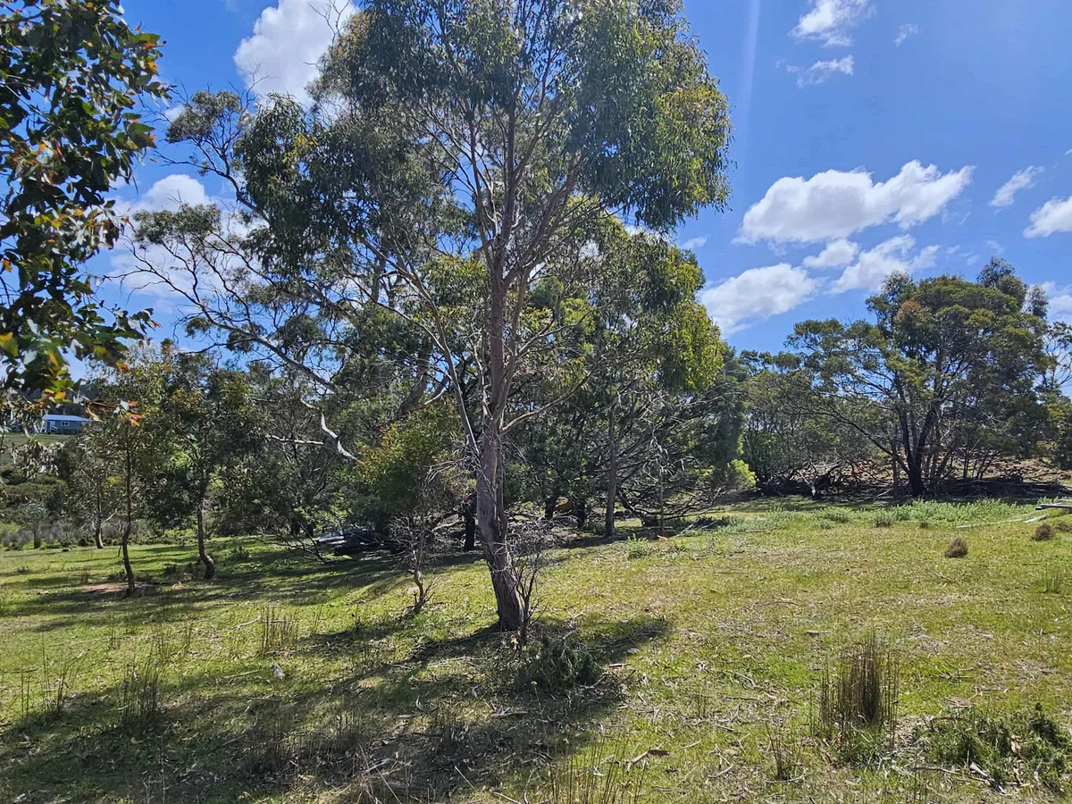 Additional image 4 of 2 Gordon Street, Swansea TAS 7190