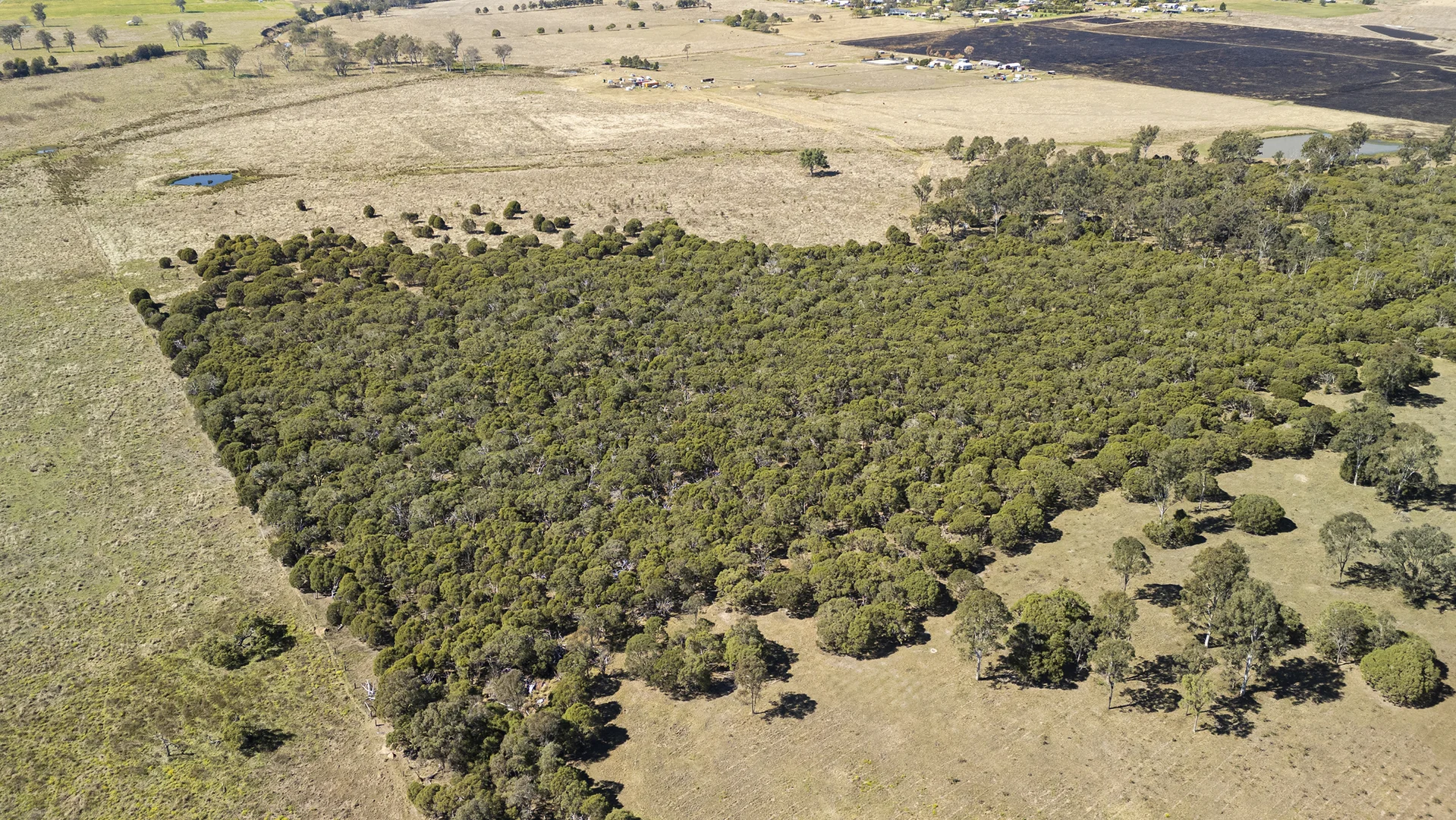 Additional image 7 of 92-202 Pamplings Road, Peak Crossing QLD 4306