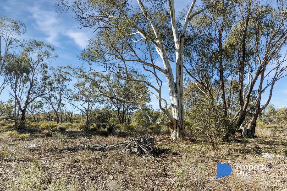 Additional image 6 of 1 Keoghs Lane, Murphys Creek VIC 3551