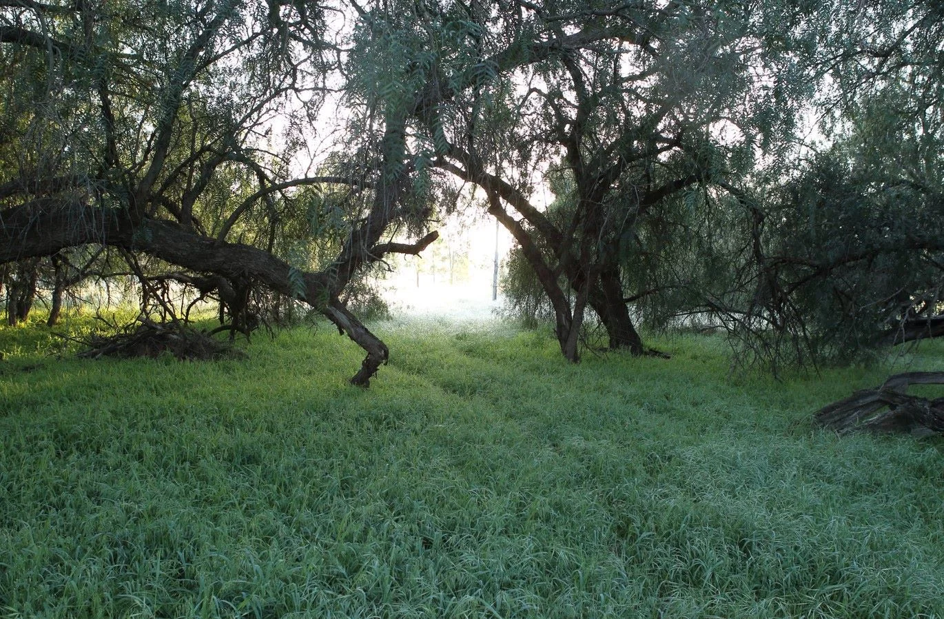 Additional image 11 of Lot/1 Corrys Mill Road, Picola West VIC 3639