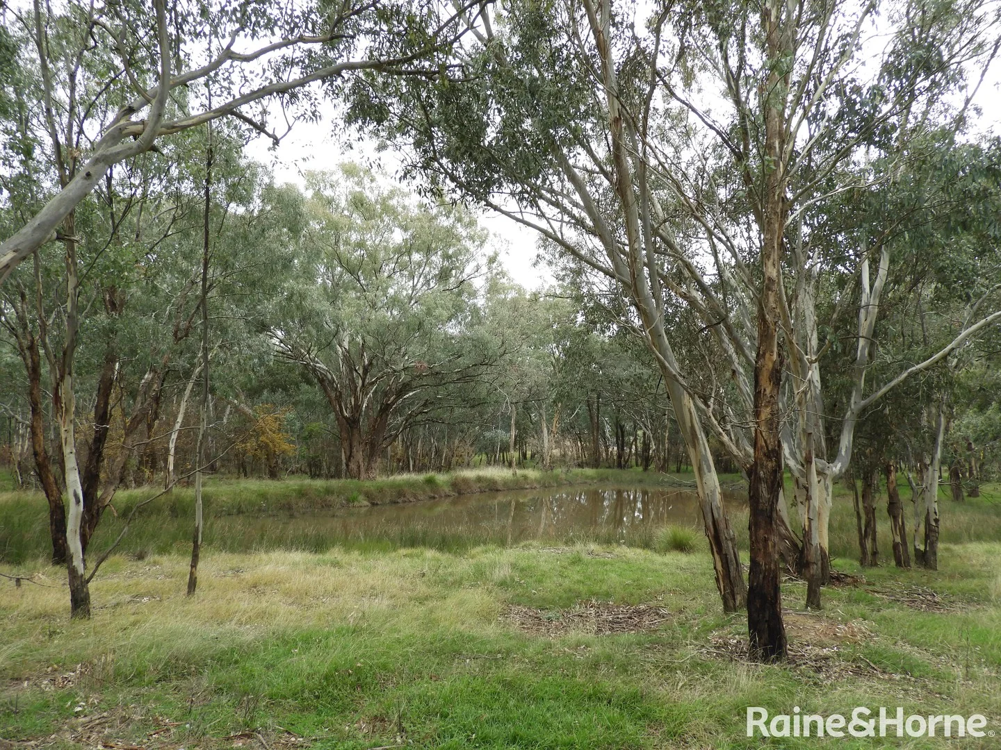 Part 4735 Olympic Highway, Young NSW 2594