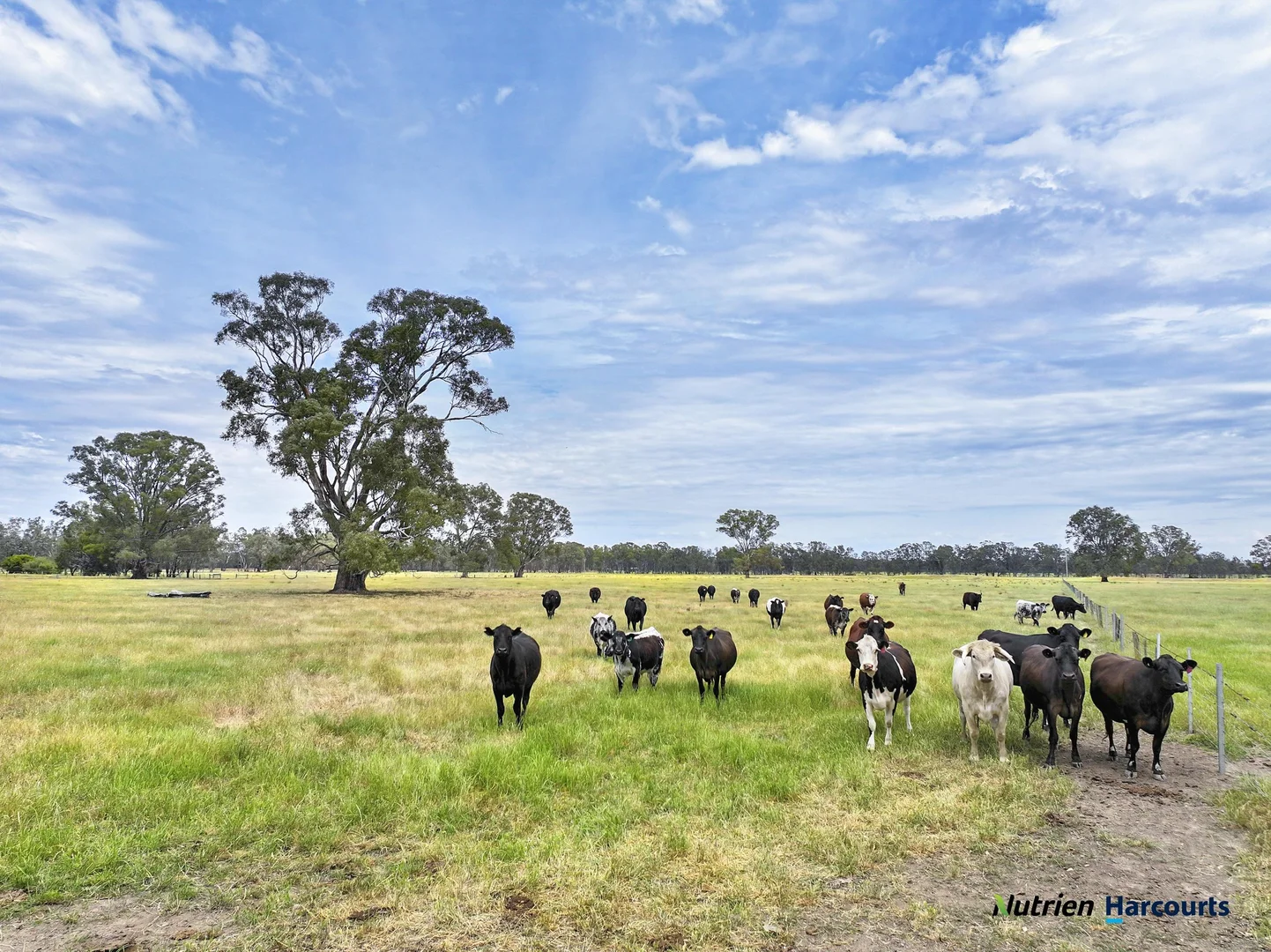 Additional image 25 of 43 Robinson Road, Violet Town VIC 3669