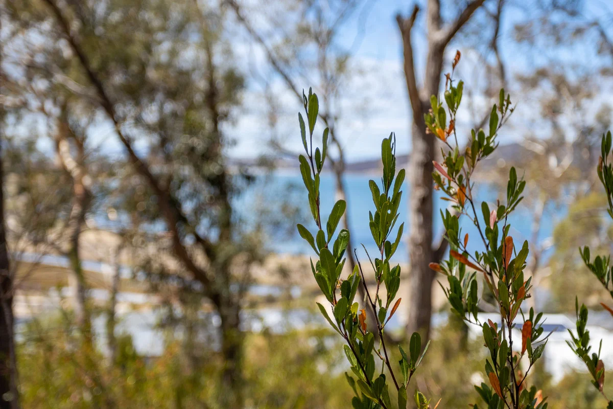 Additional image 16 of 3 Lady Emma Court, Rokeby TAS 7019