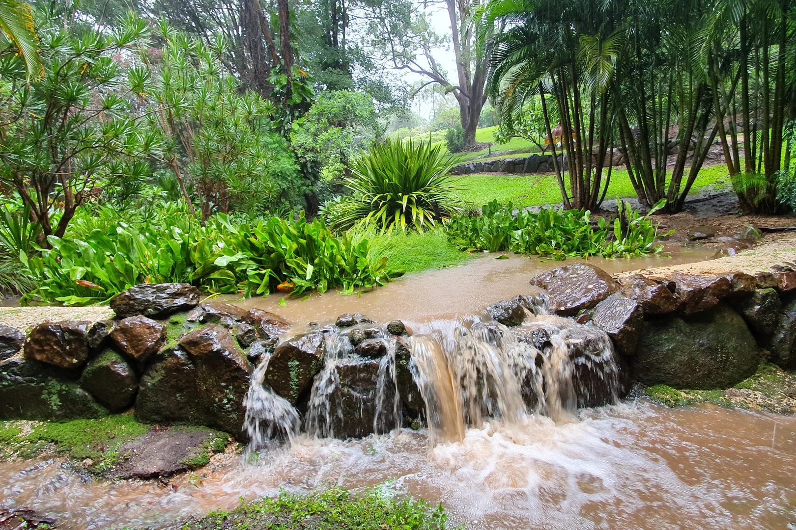 Additional image 51 of 30 Tanglewood Drive, Tanglewood NSW 2488