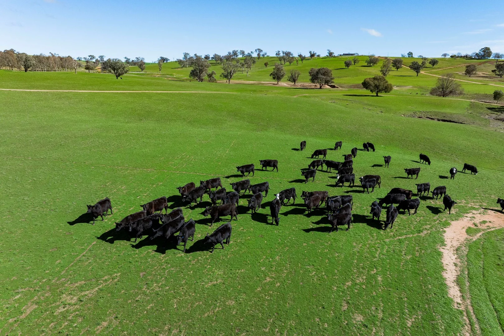 Additional image 35 of 670 Leahy Road, Wagga Wagga NSW 2650