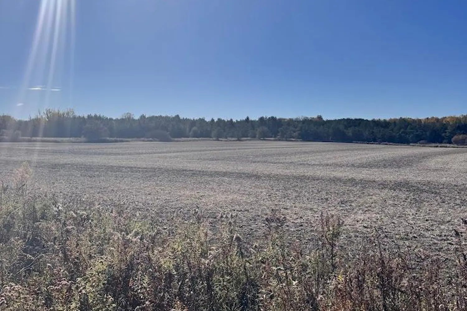 Additional image 9 of 211 Queen Street