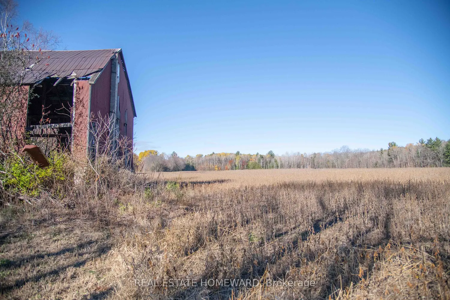 Additional image 4 of 7257 Soper Road