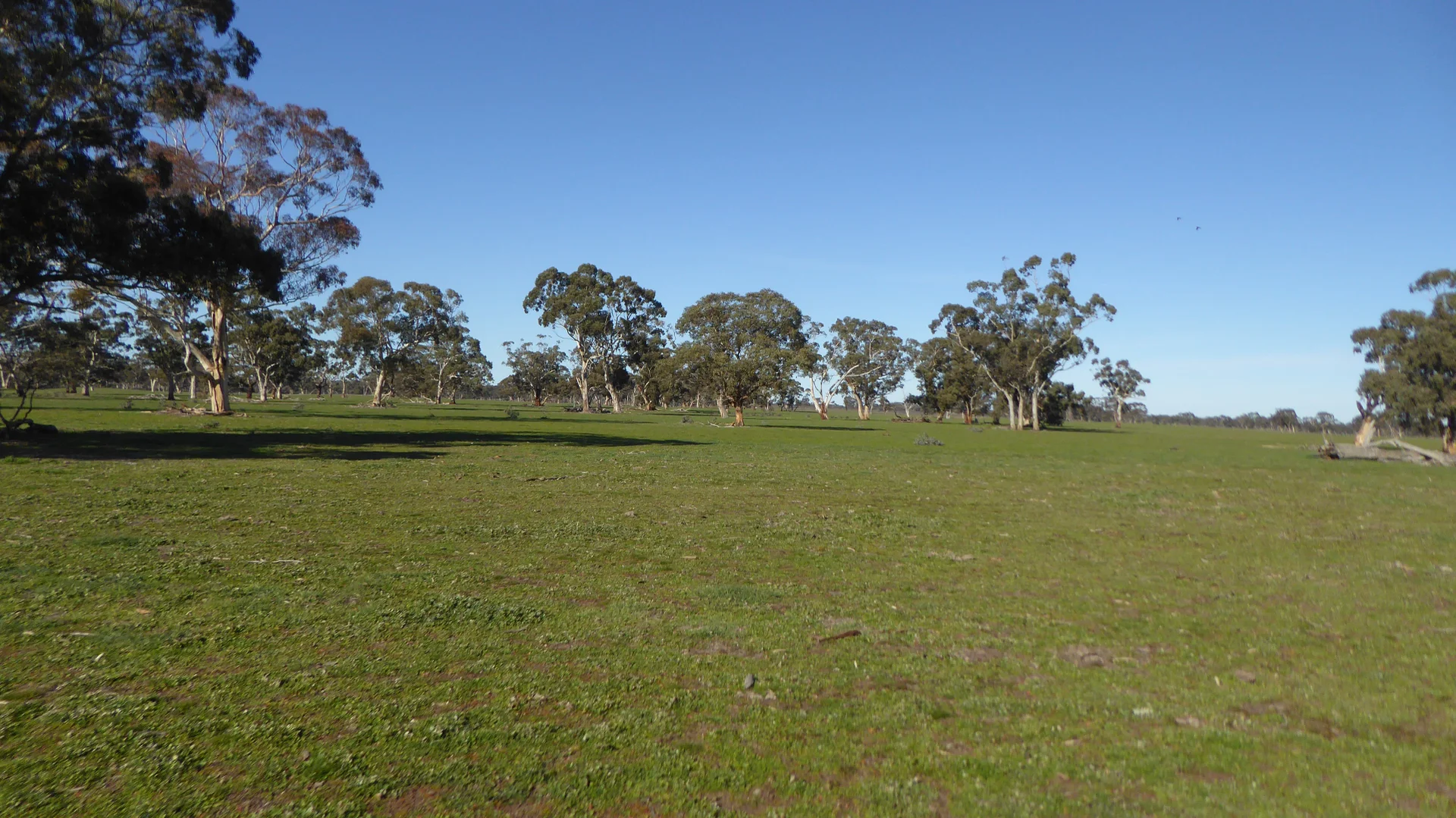 Additional image 15 of 2147 Bangham Road, Frances SA 5262