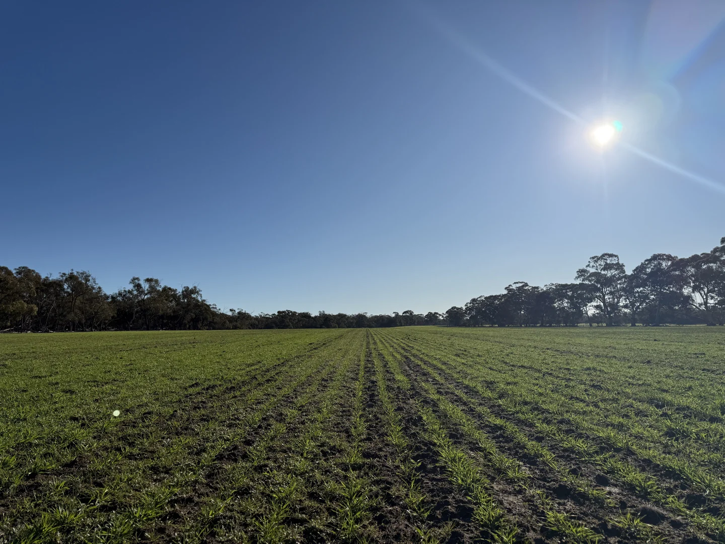 Additional image 11 of CA/75 A Watkins Road, Karnak VIC 3401