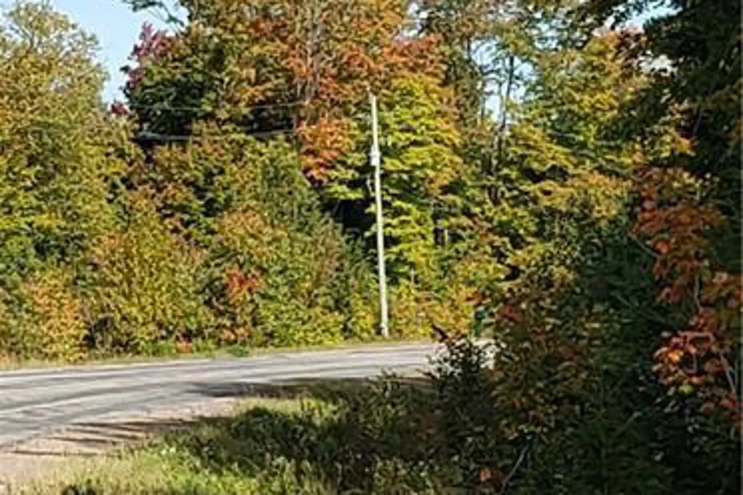 Additional image 4 of 3339 Highway 534