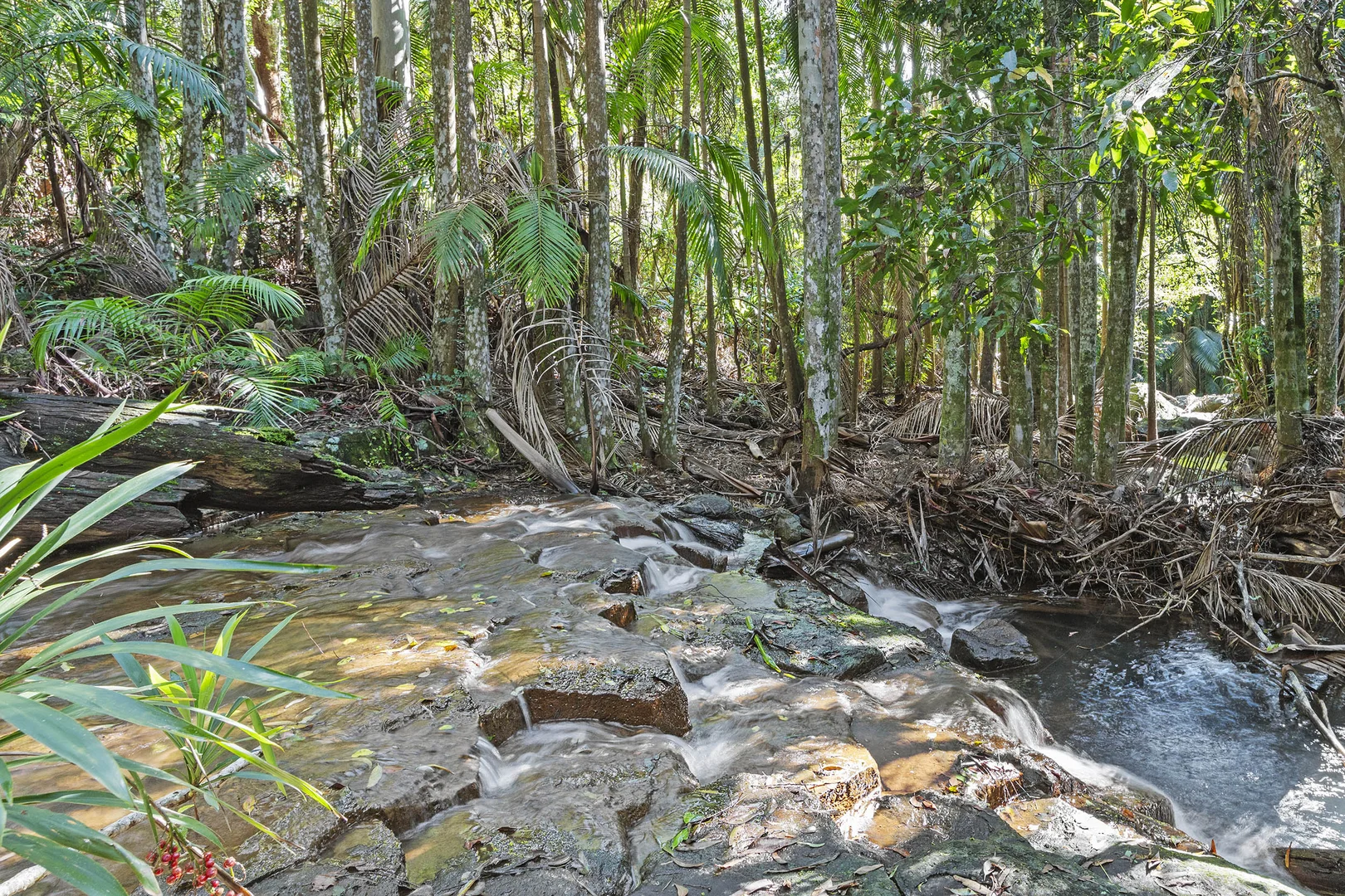 Additional image 2 of 28a Geissmann Street, Tamborine Mountain QLD 4272