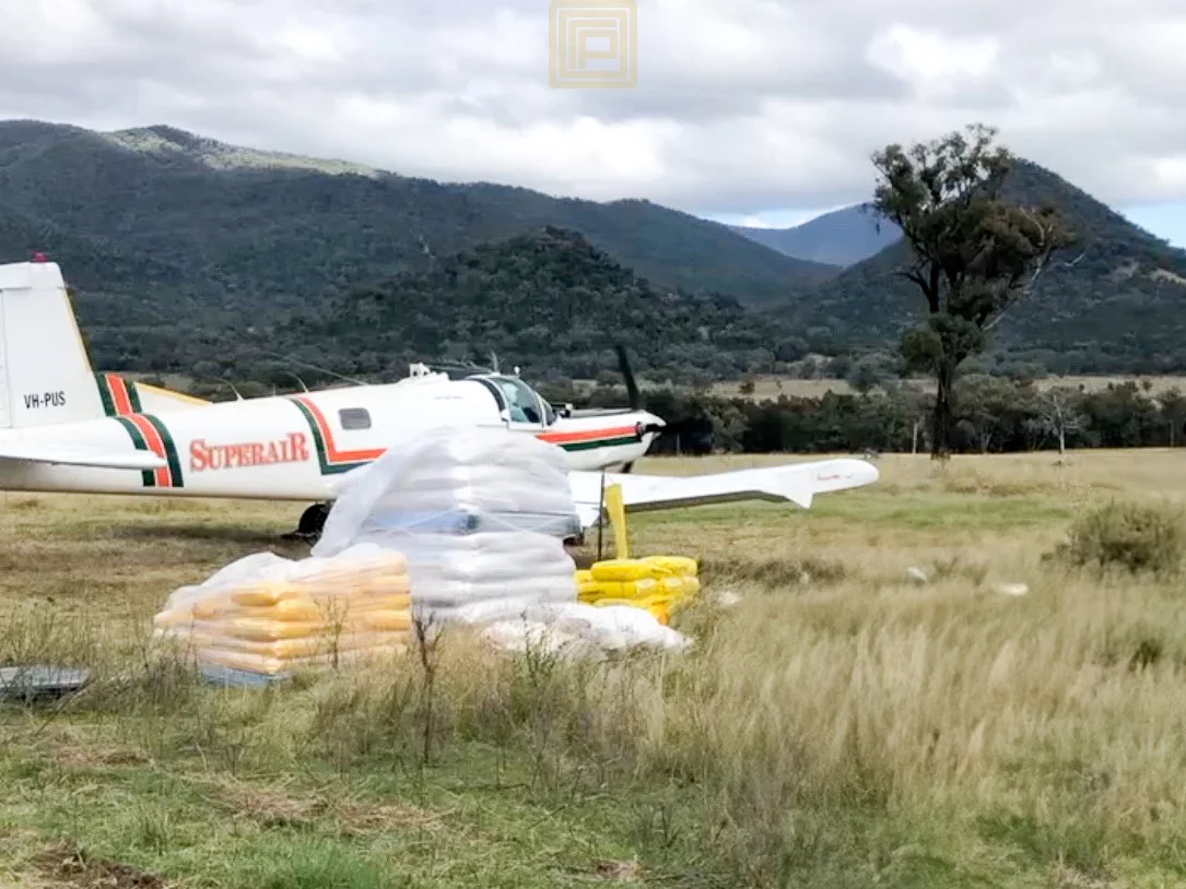 Additional image 21 of DARTHULA Pound Creek Road, Rocky Creek NSW 2390