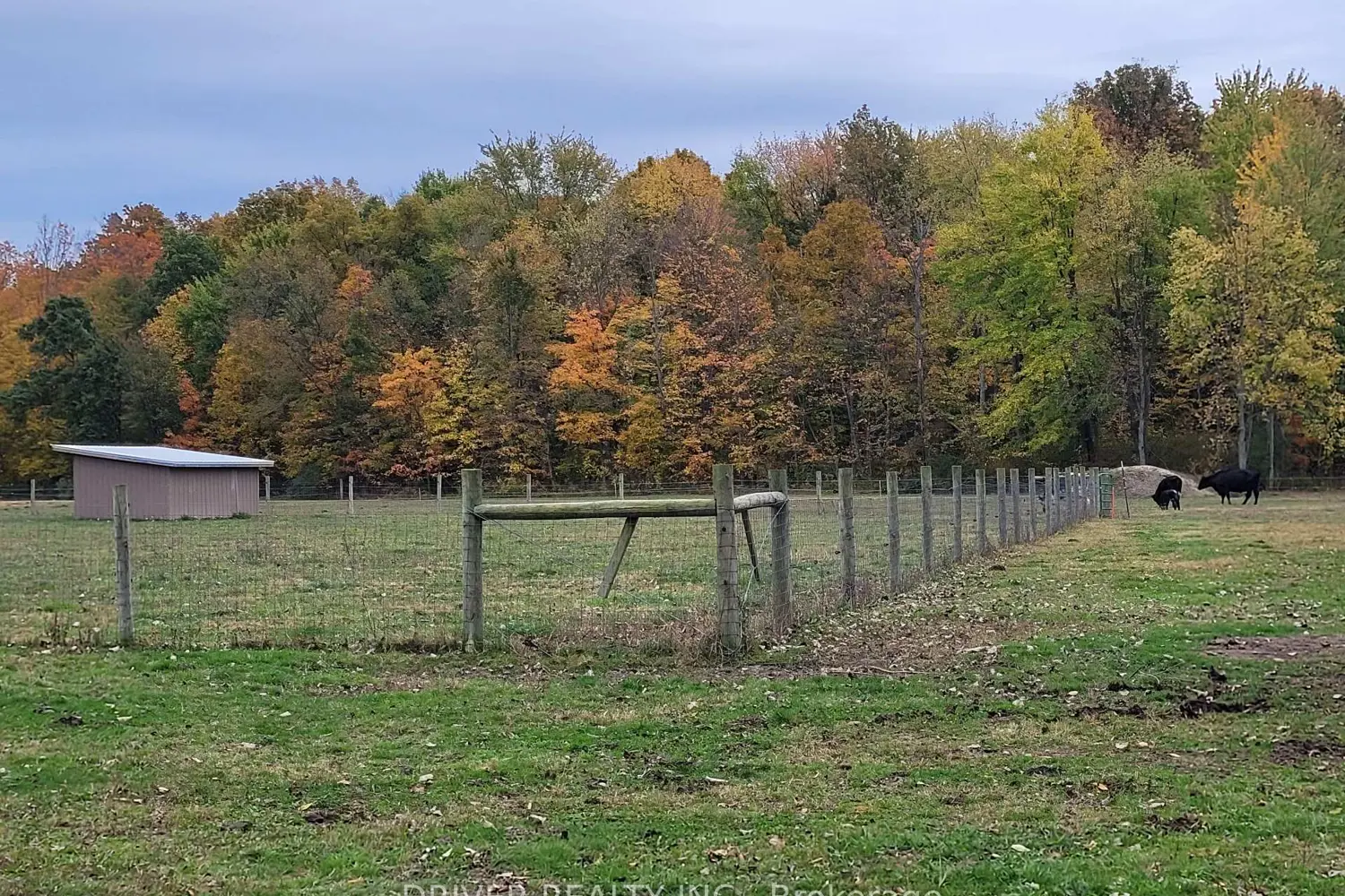 Additional image 13 of 1726 4Th Concession Road