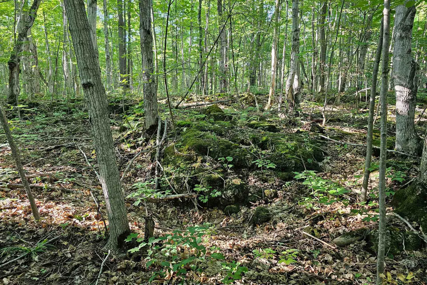 Additional image 9 of 725 Purple Valley Road