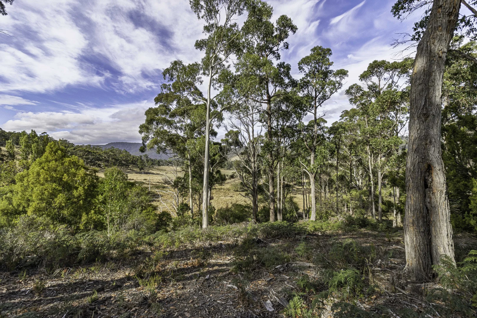 Additional image 52 of 242 Woolleys Road, Lonnavale TAS 7109