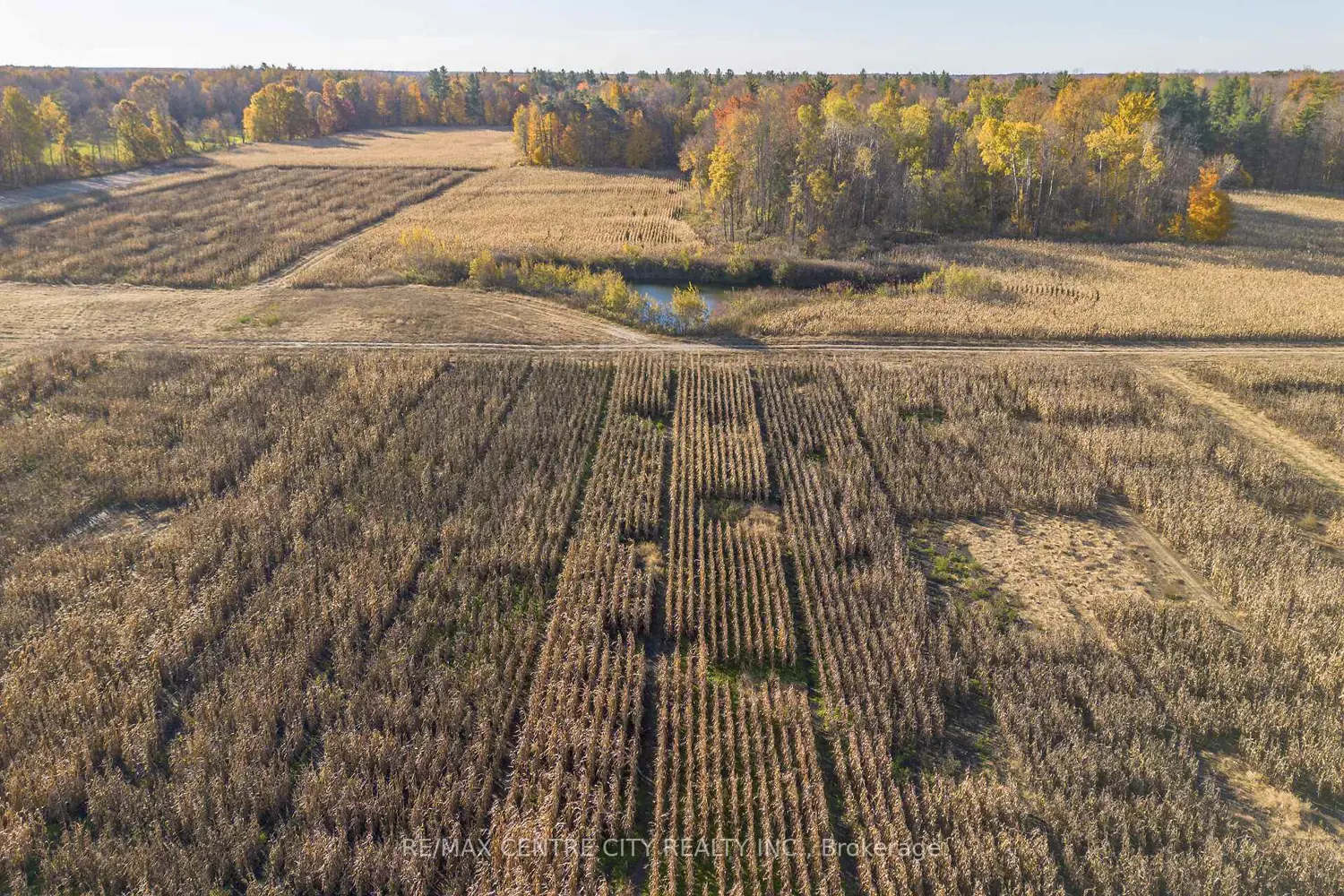 Additional image 18 of 8916 Coyle Road