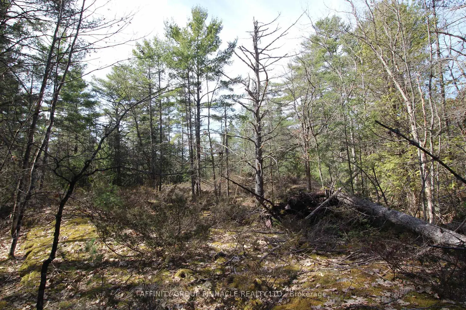 Additional image 14 of Lot 15 Concession 9