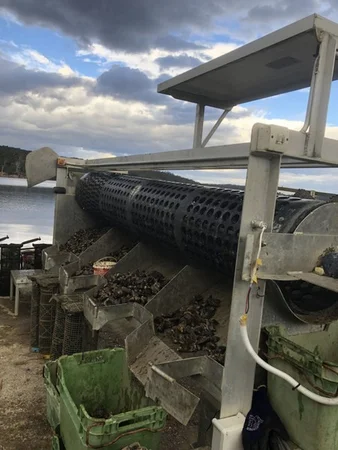 Additional image 7 of Tongue Road, Hastings TAS 7109