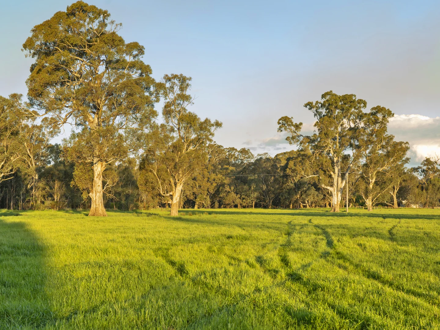 Additional image 4 of 111 Moglonemby Road, Euroa VIC 3666