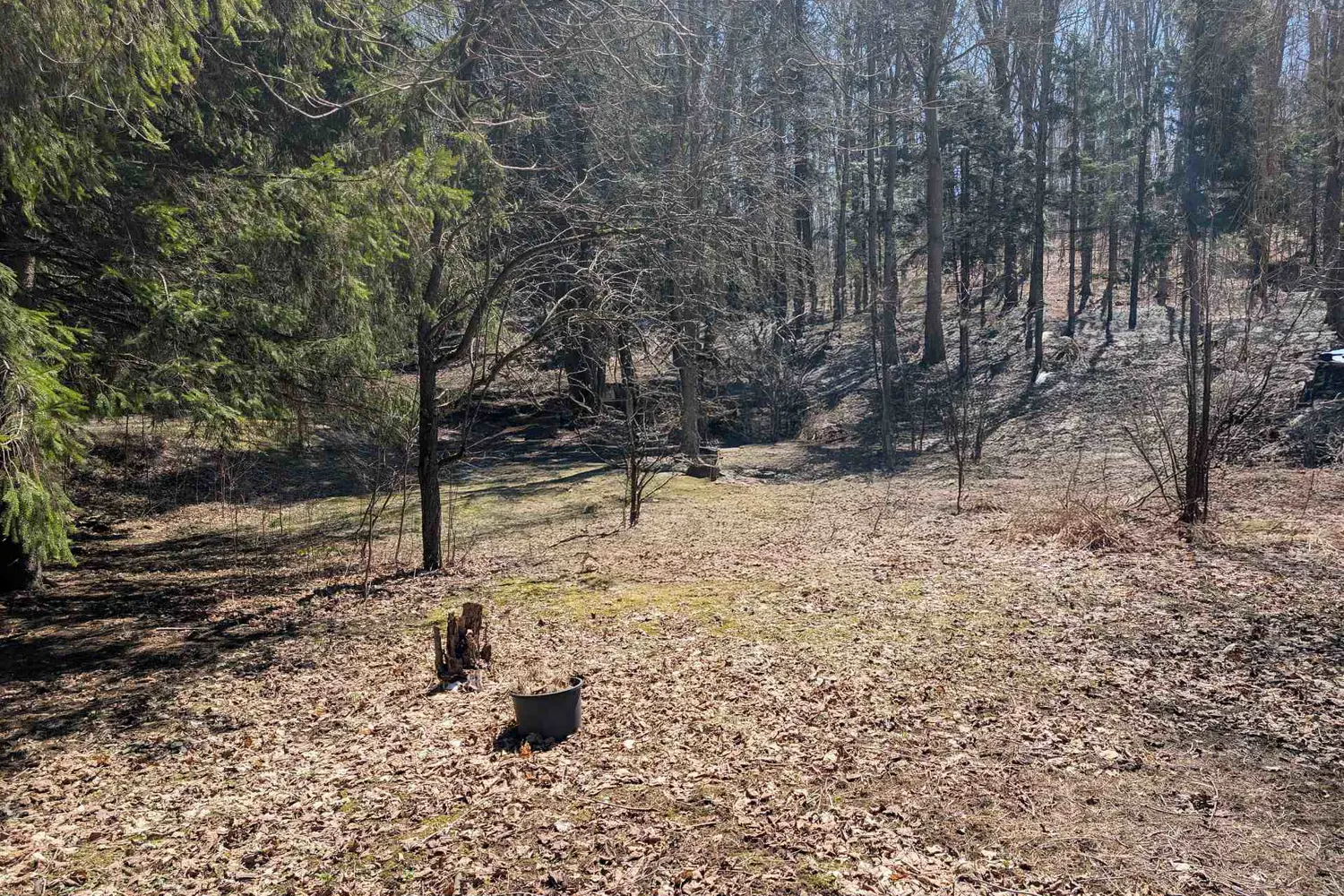 Additional image 10 of 120 Anderson Drive