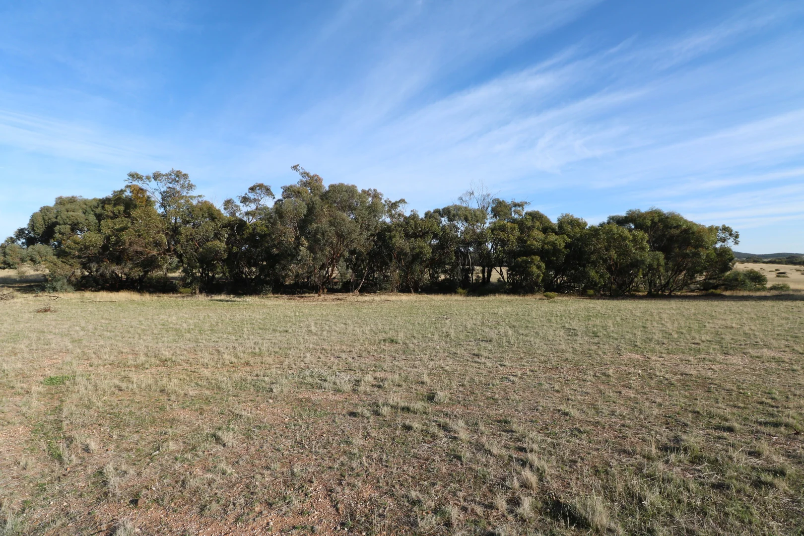 Additional image 17 of 84A Woolshed Flat Road, Wychitella VIC 3525
