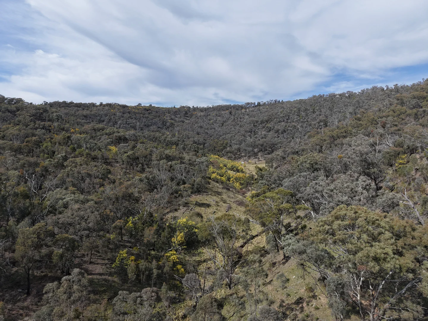 Additional image 8 of 4172-4177 Freemantle Road, Gowan NSW 2795