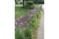 Additional image 30 of 10 Proud Foot Way, Hanson, MA, 02341