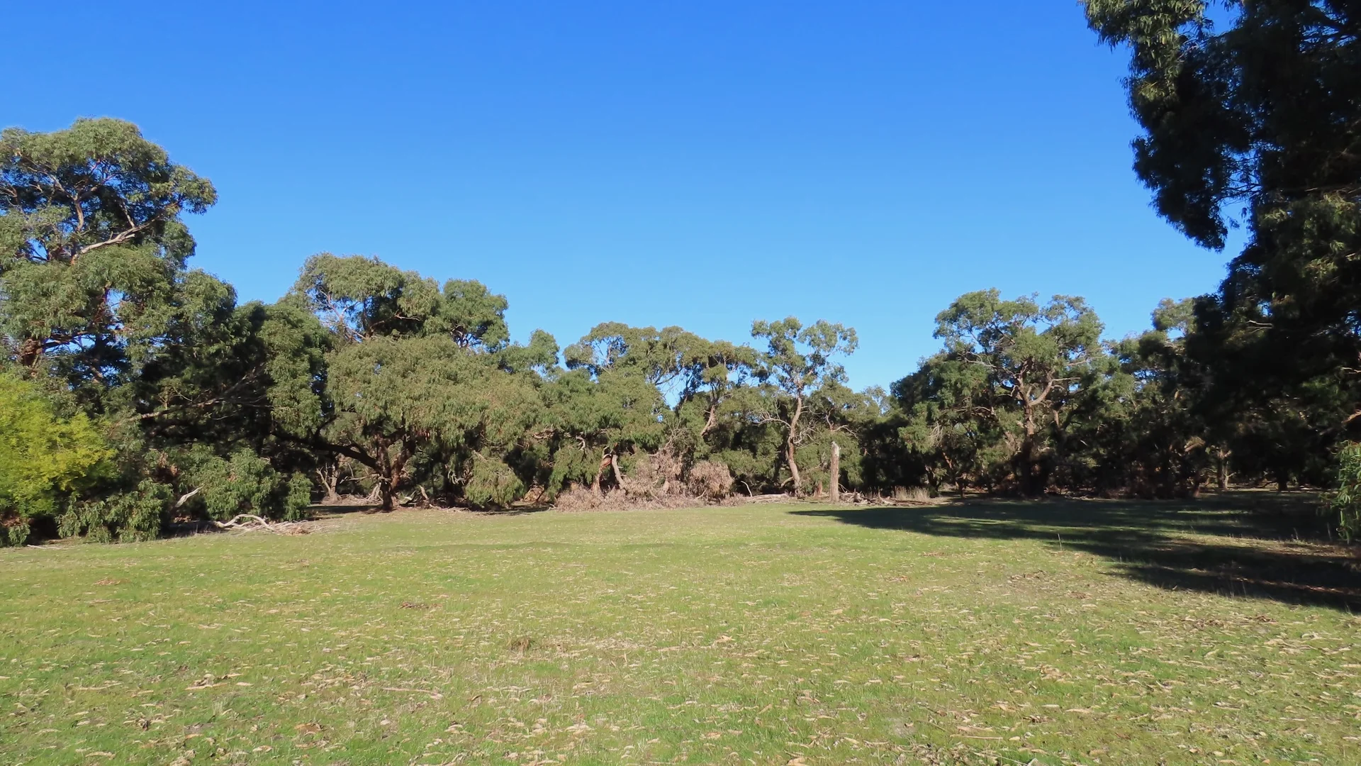 Additional image 2 of 225 Coles-Killanoola Road, Coles SA 5272