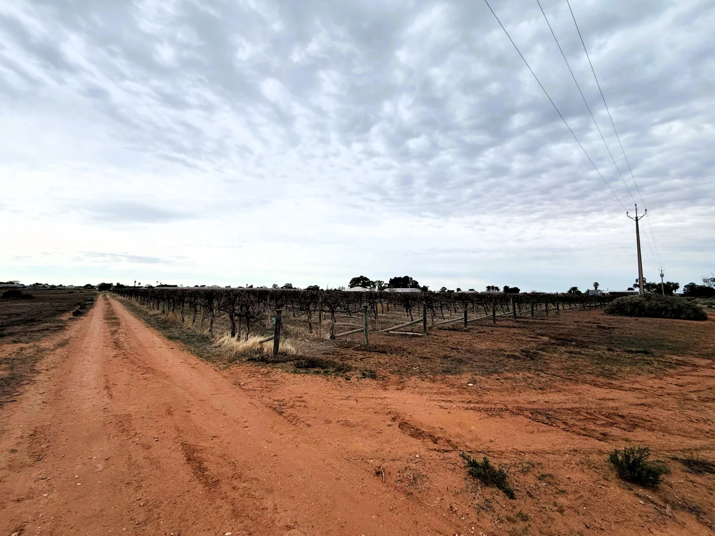 Additional image 2 of 445 Government Road, Renmark SA 5341