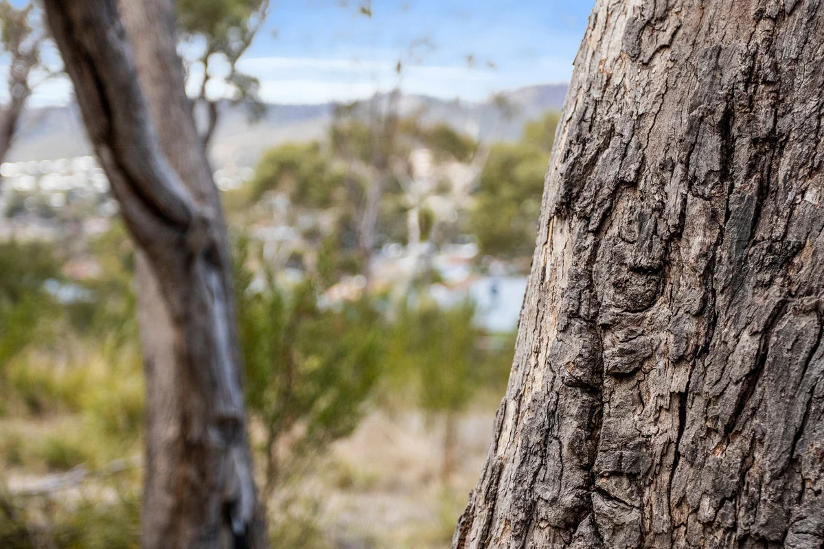 Additional image 18 of 3 Lady Emma Court, Rokeby TAS 7019