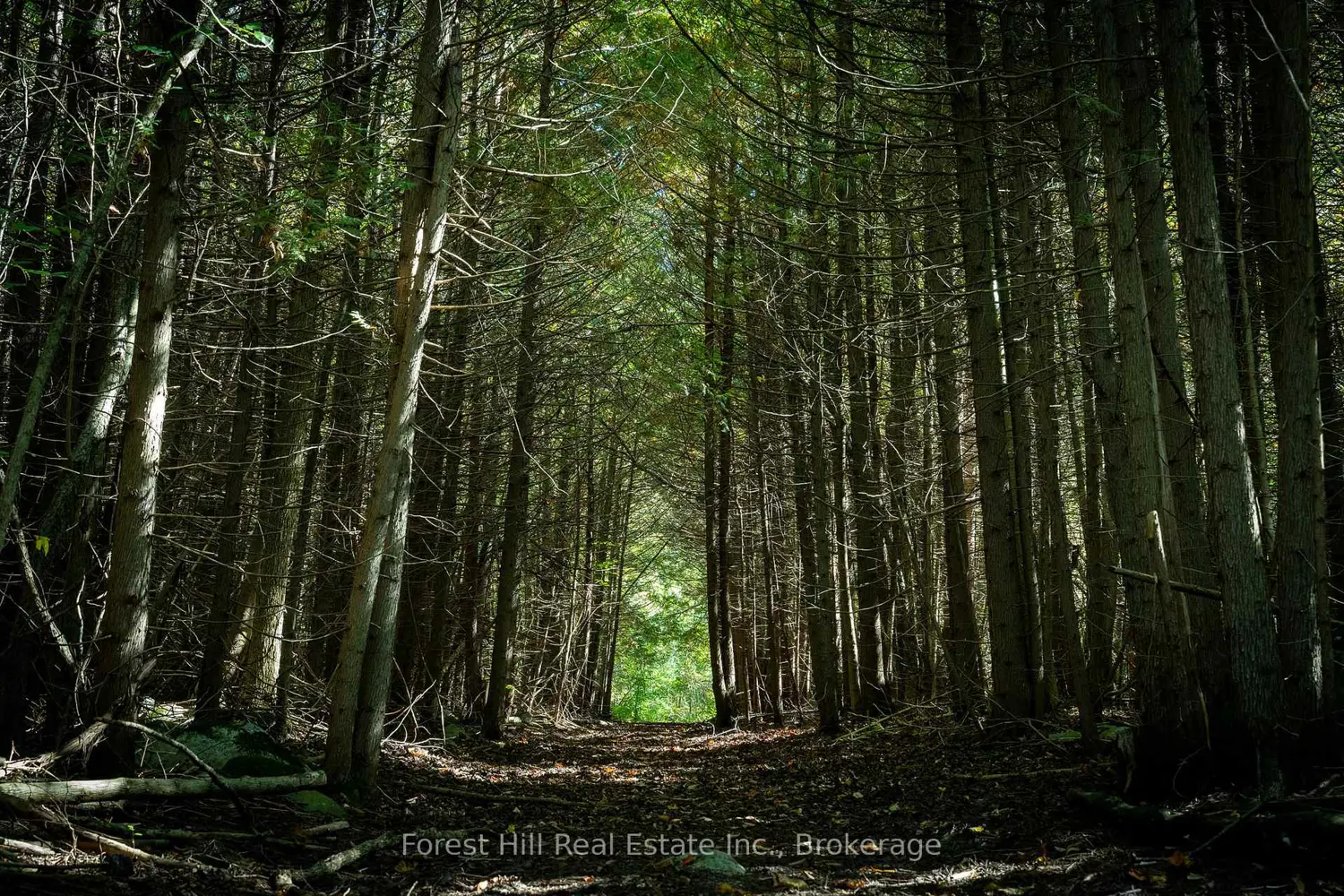 Additional image 13 of 496629 Grey Road 2