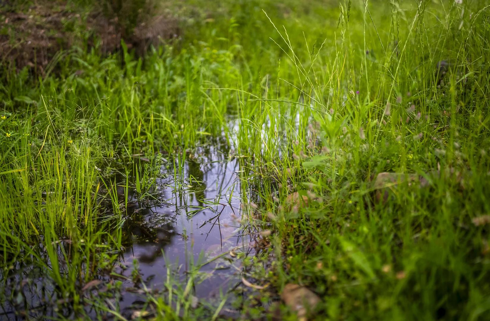 Additional image 21 of The Spring 561 Mountain Valley Road, Neurea NSW 2820