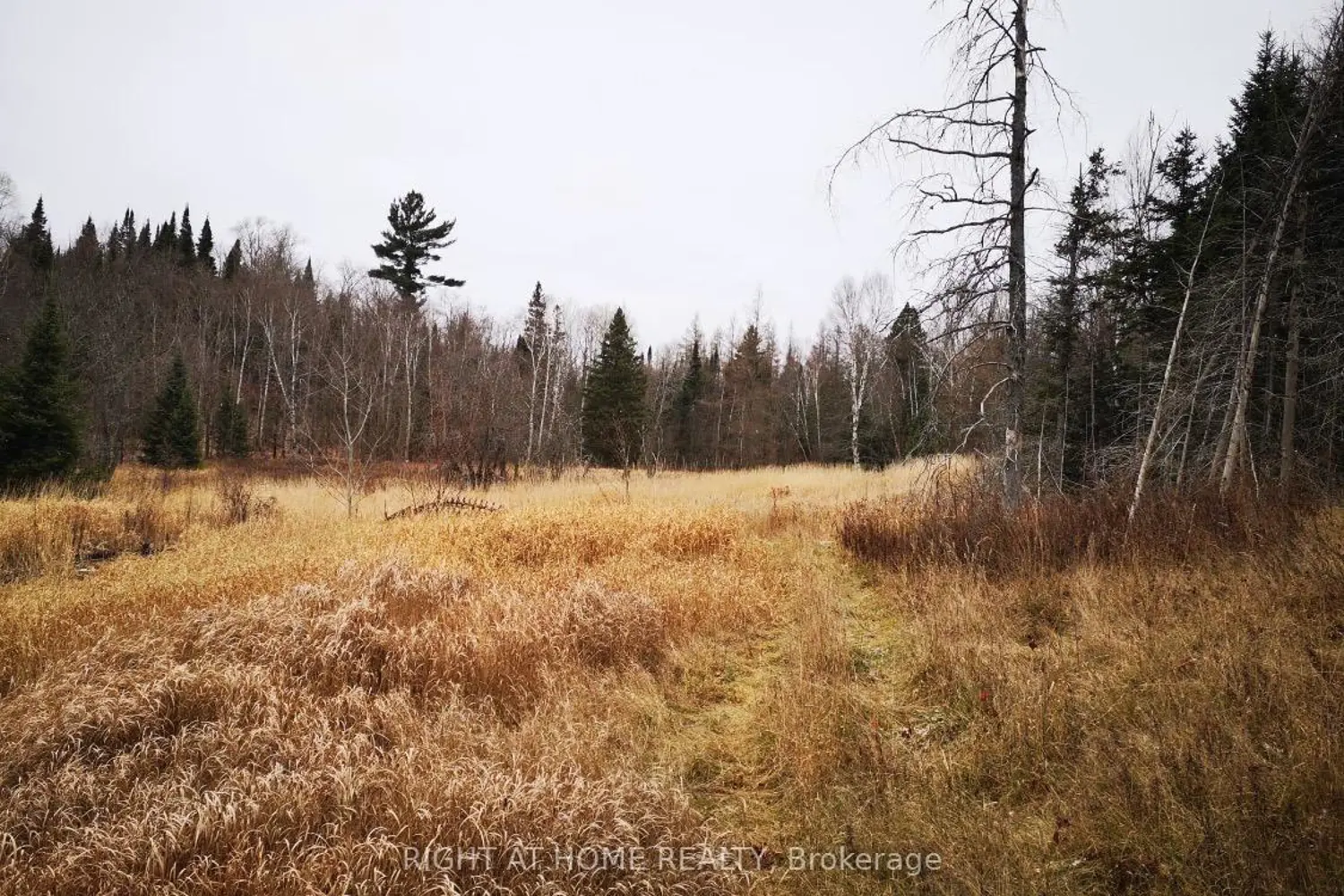 Additional image 7 of 2263 Machar Strong Boundry Road