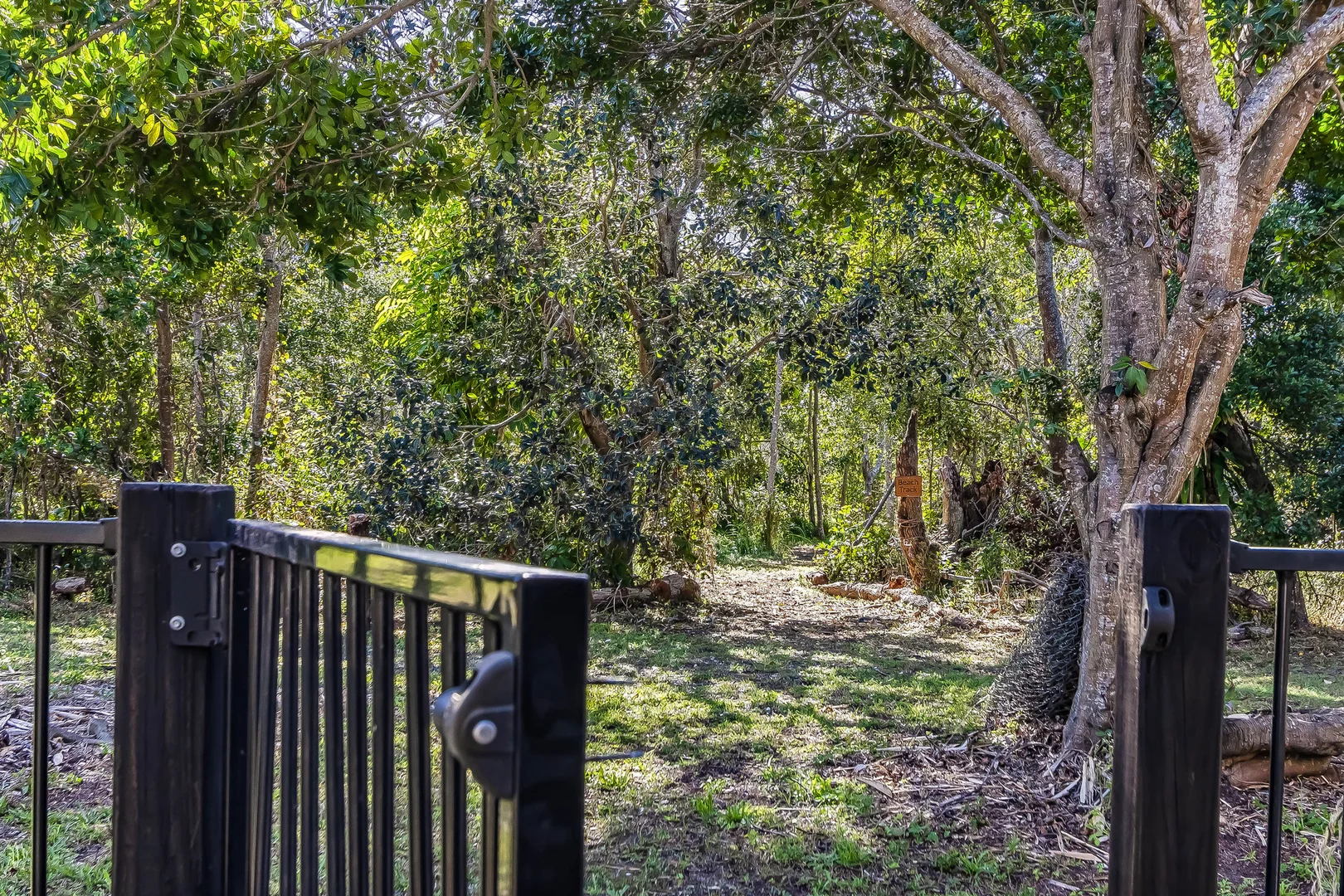 Additional image 22 of 25 Letitia Road, Fingal Head NSW 2487