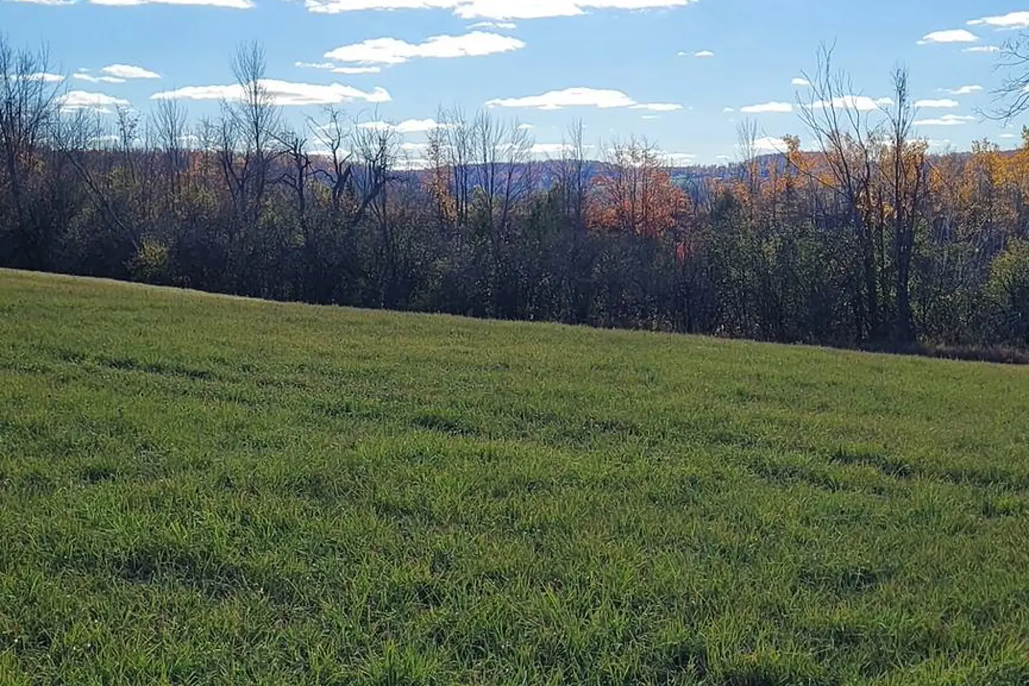 Additional image 10 of 323 Orange Corners Road