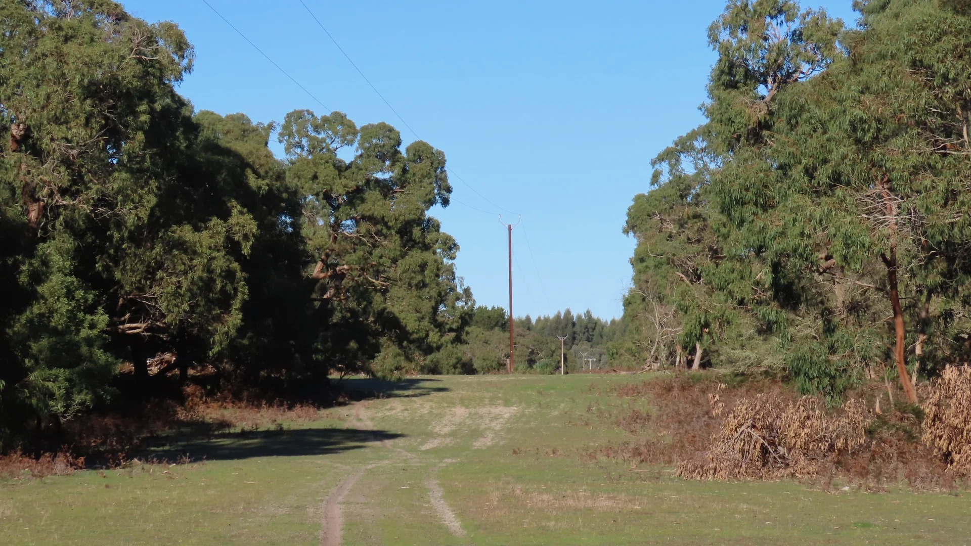 Additional image 12 of 225 Coles-Killanoola Road, Coles SA 5272