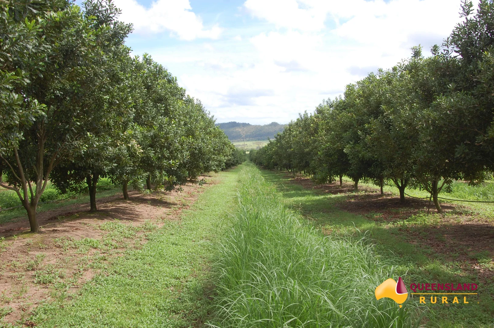 Additional image 5 of Dimbulah QLD 4872