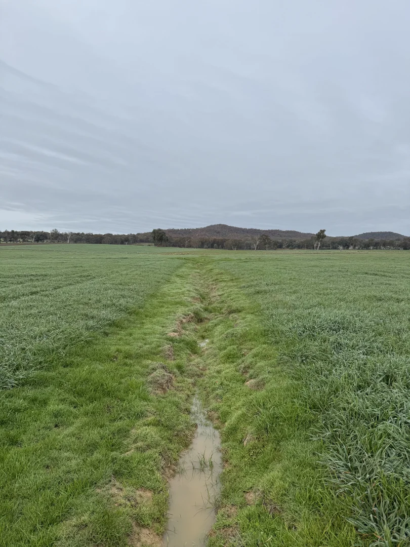 Additional image 33 of 301 Boggy Creek Road, Moyhu VIC 3732