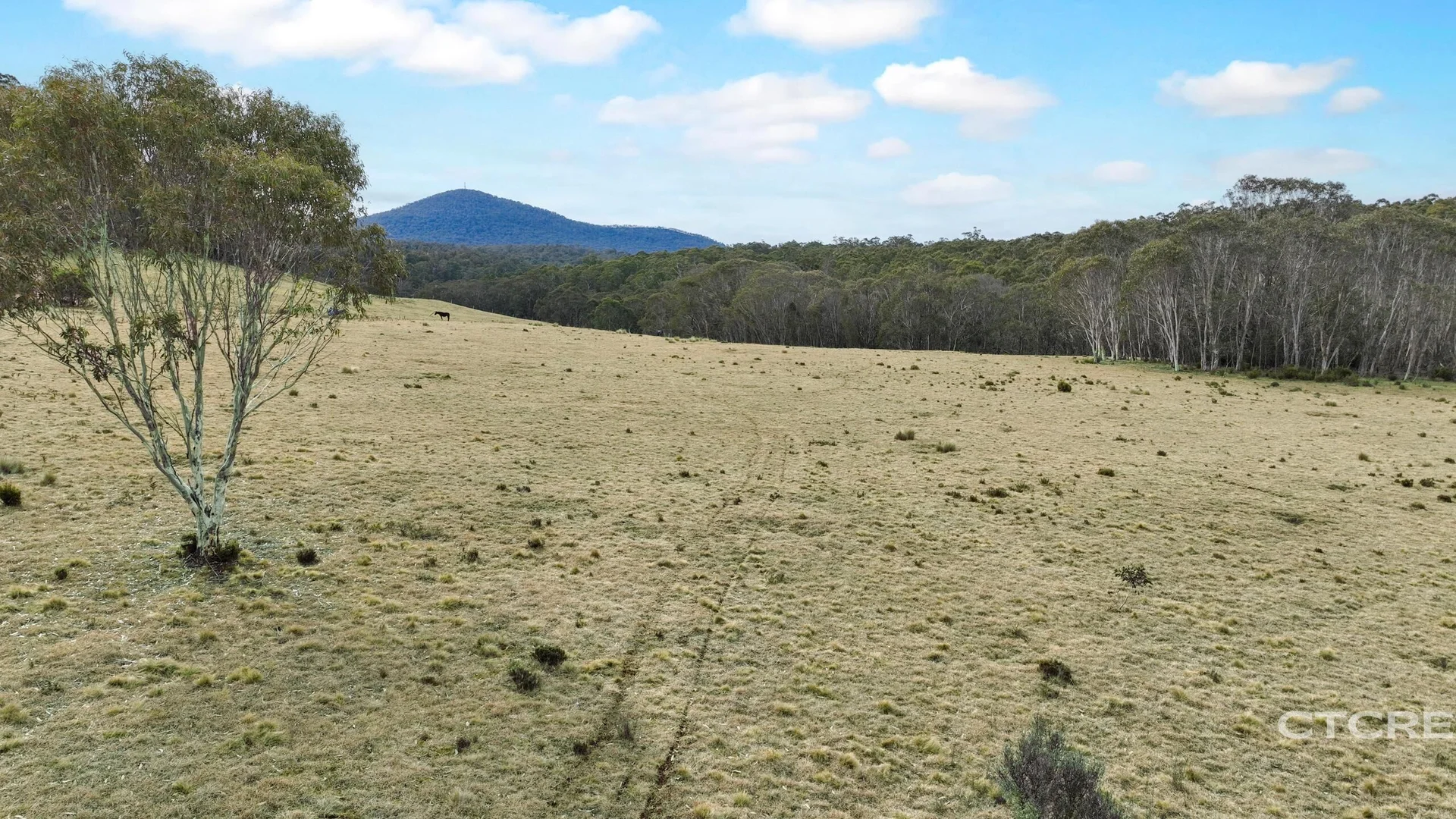 Additional image 12 of 1695 Bendoc-Orbost Road, Bendoc VIC 3888