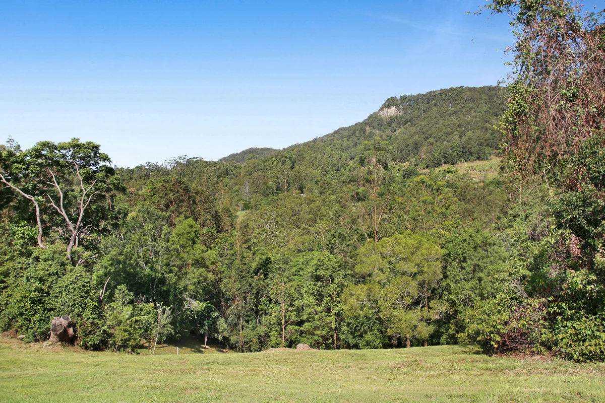 Additional image 17 of 22 Petsch Creek Road, Tallebudgera Valley QLD 4228