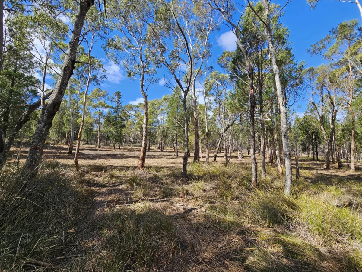 Additional image 4 of 1 Elizabeth Street, Pontypool TAS 7190