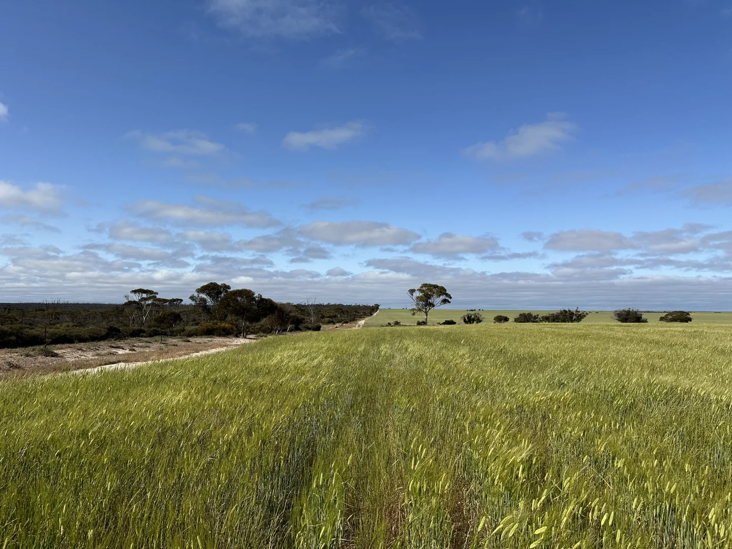 Additional image 15 of 2501 Hyden Norseman Road, Hyden WA 6359