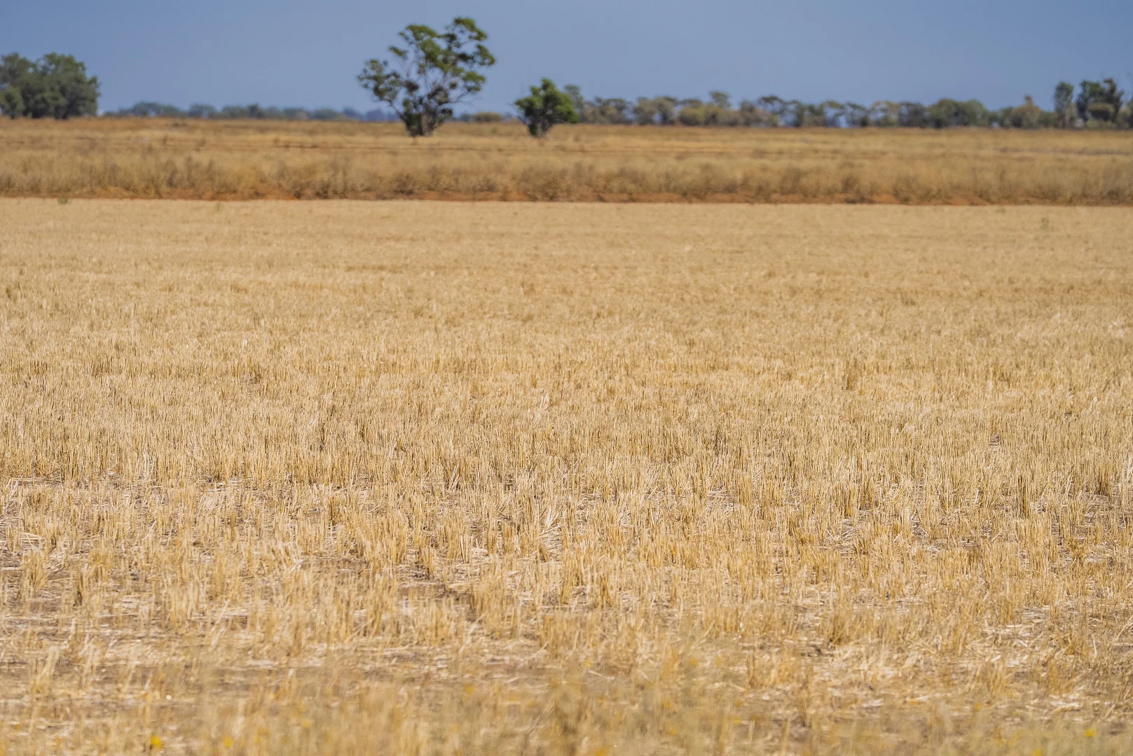 Additional image 6 of 102 Murrami Road, Murrami NSW 2705