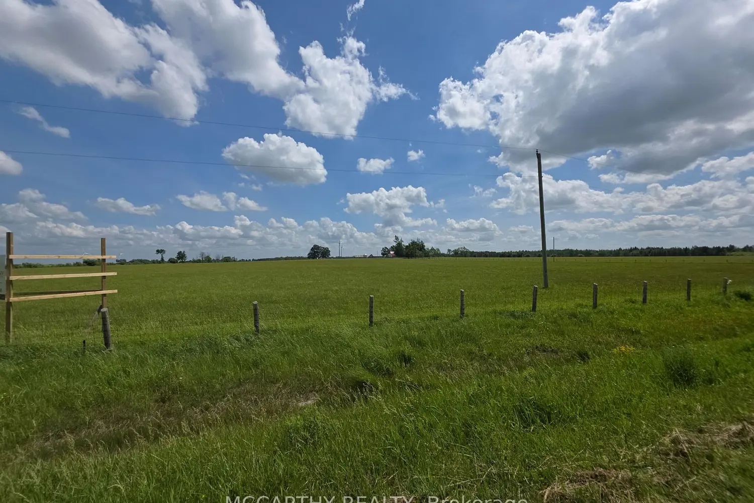 Additional image 13 of 501098 Hwy 89