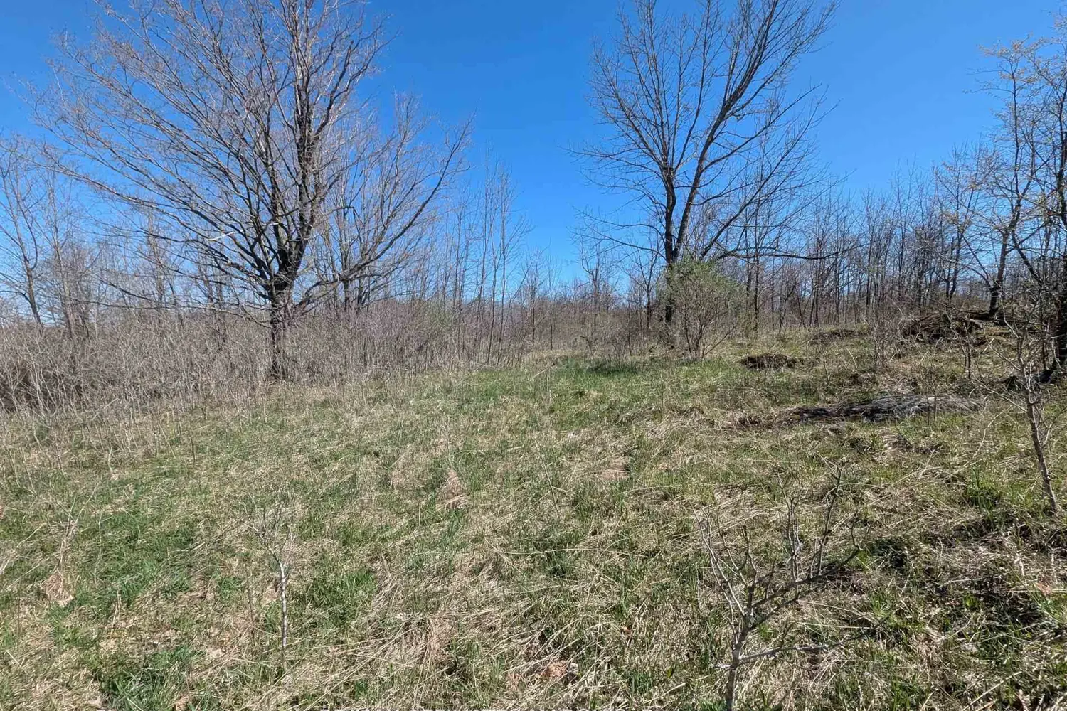 Additional image 9 of 0 Little Crosby Lake Road
