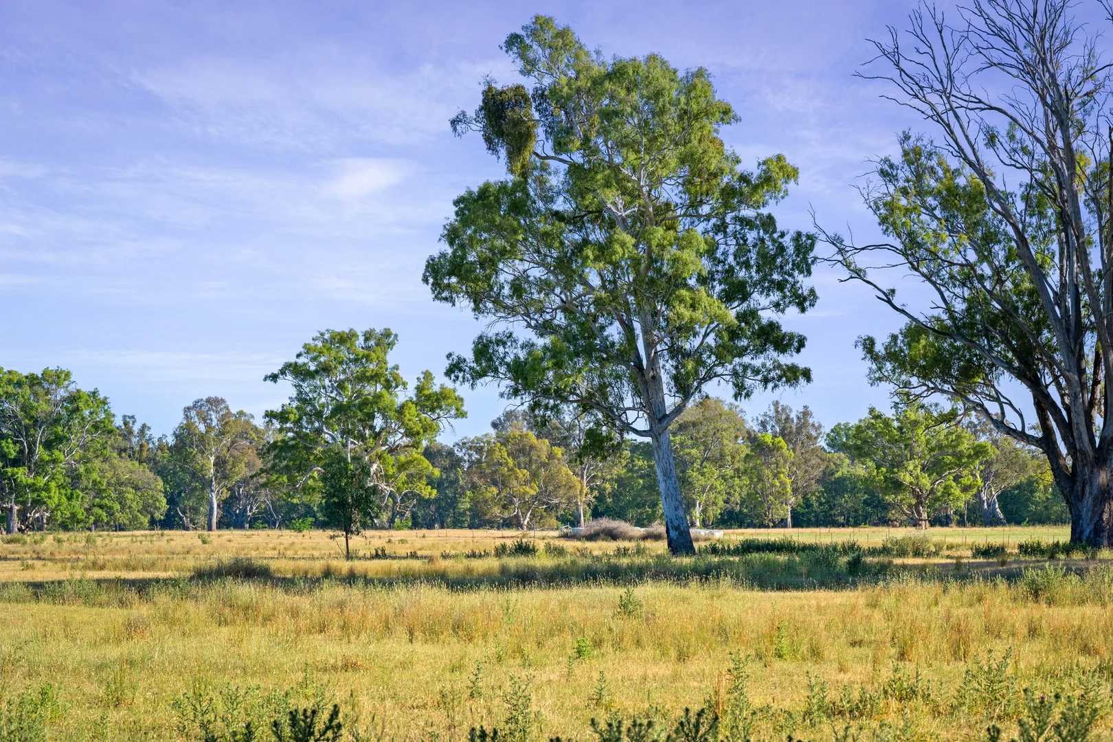 Additional image 10 of 9 Apple Box Court, Baranduda VIC 3691